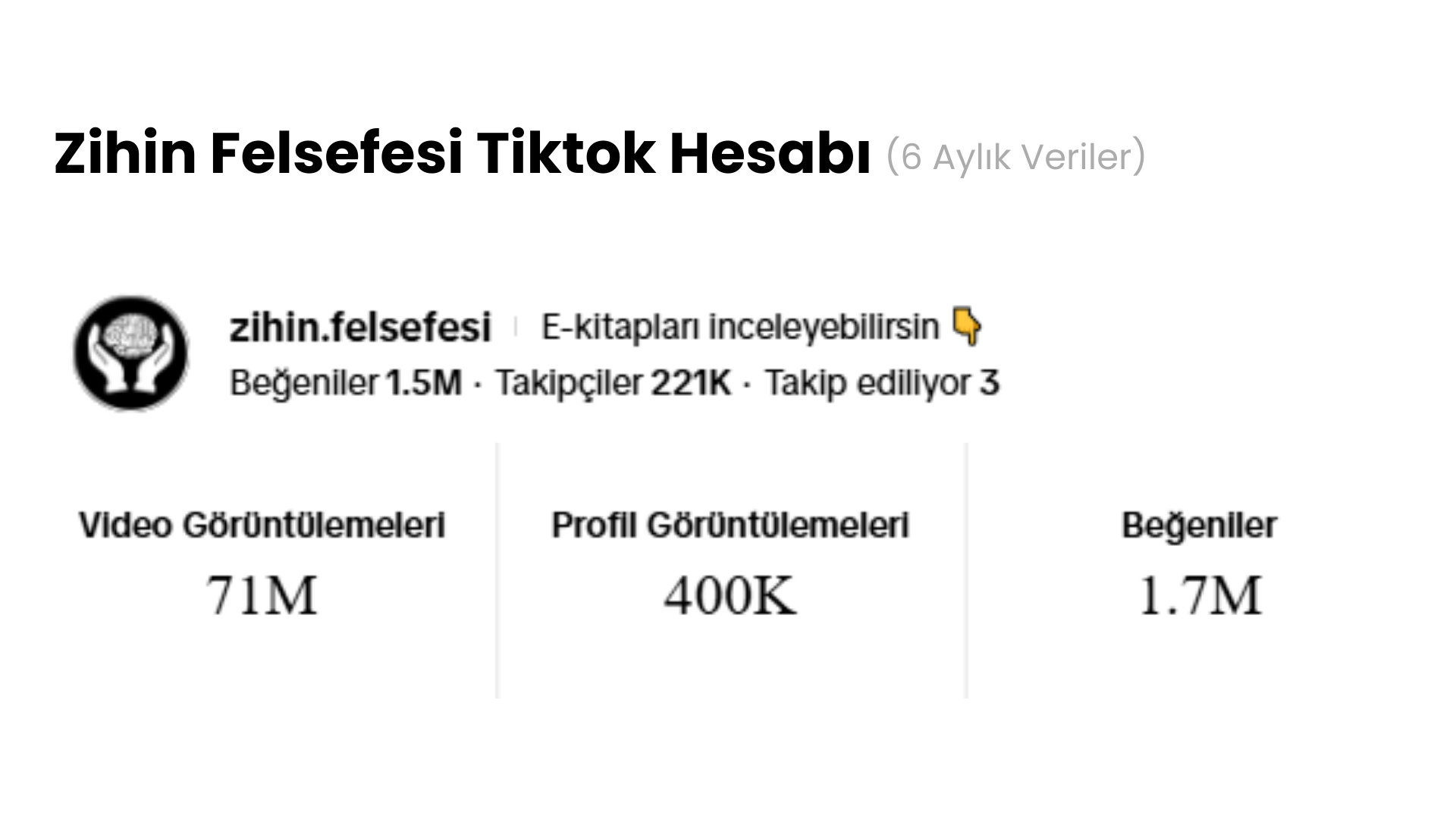 TikTok İstatistikleri